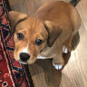 Meet your Posher, Christy